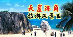 大鸡巴操女人逼逼海南三亚-天崖海角旅游风景区